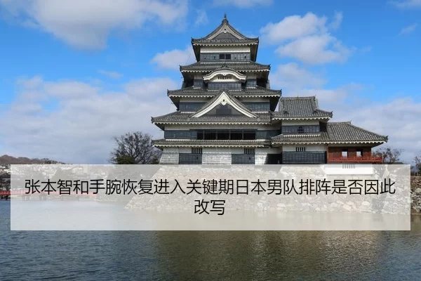 张本智和手腕恢复进入关键期日本男队排阵是否因此改写