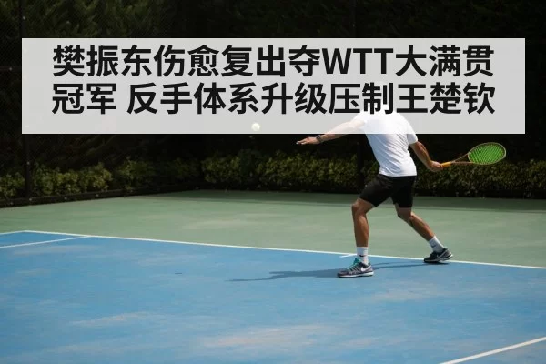 樊振东伤愈复出夺WTT大满贯冠军 反手体系升级压制王楚钦