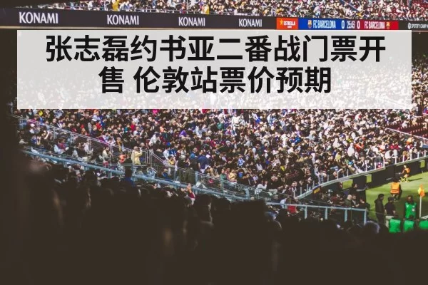 张志磊约书亚二番战门票开售 伦敦站票价预期