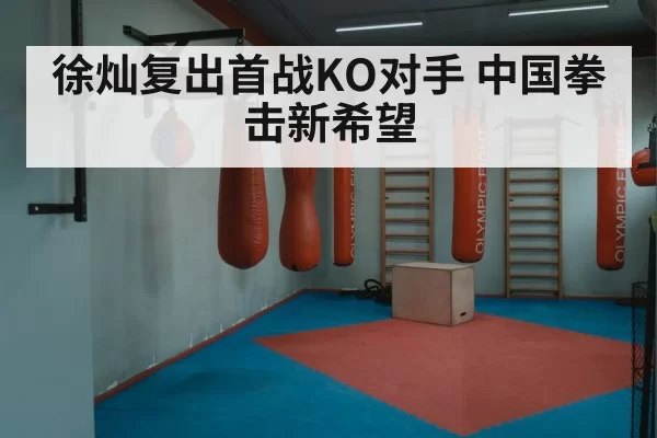 徐灿复出首战KO对手 中国拳击新希望
